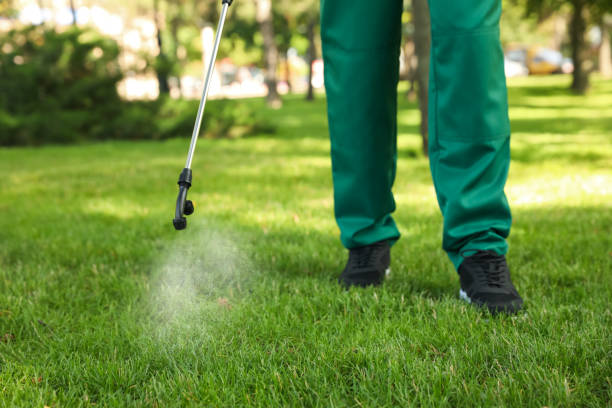 Best Wasp Removal Services  in Independence, OH