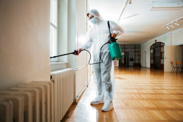 Best Termite Control Services  in Independence, OH